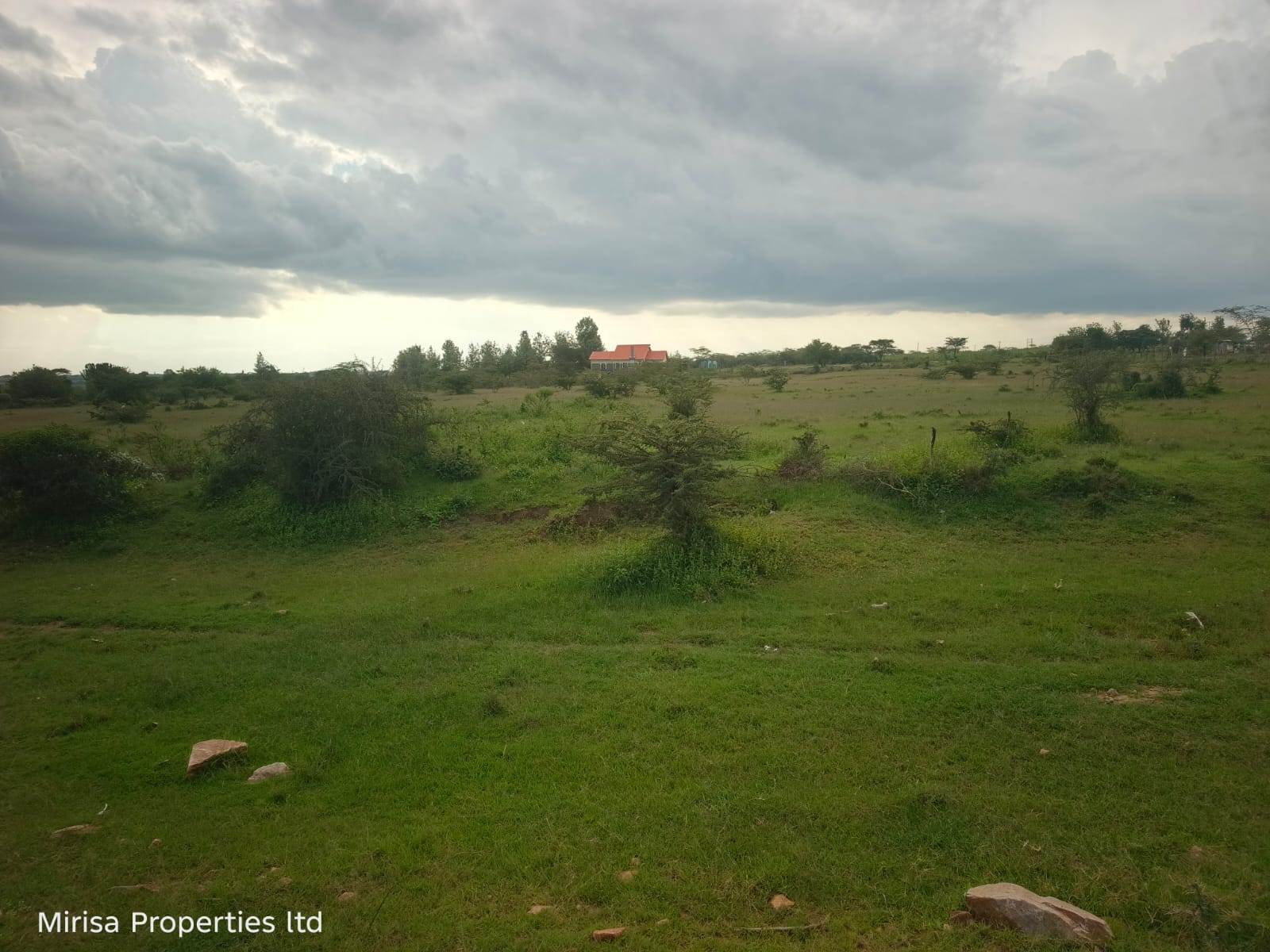 Olerai land thumbnail 2